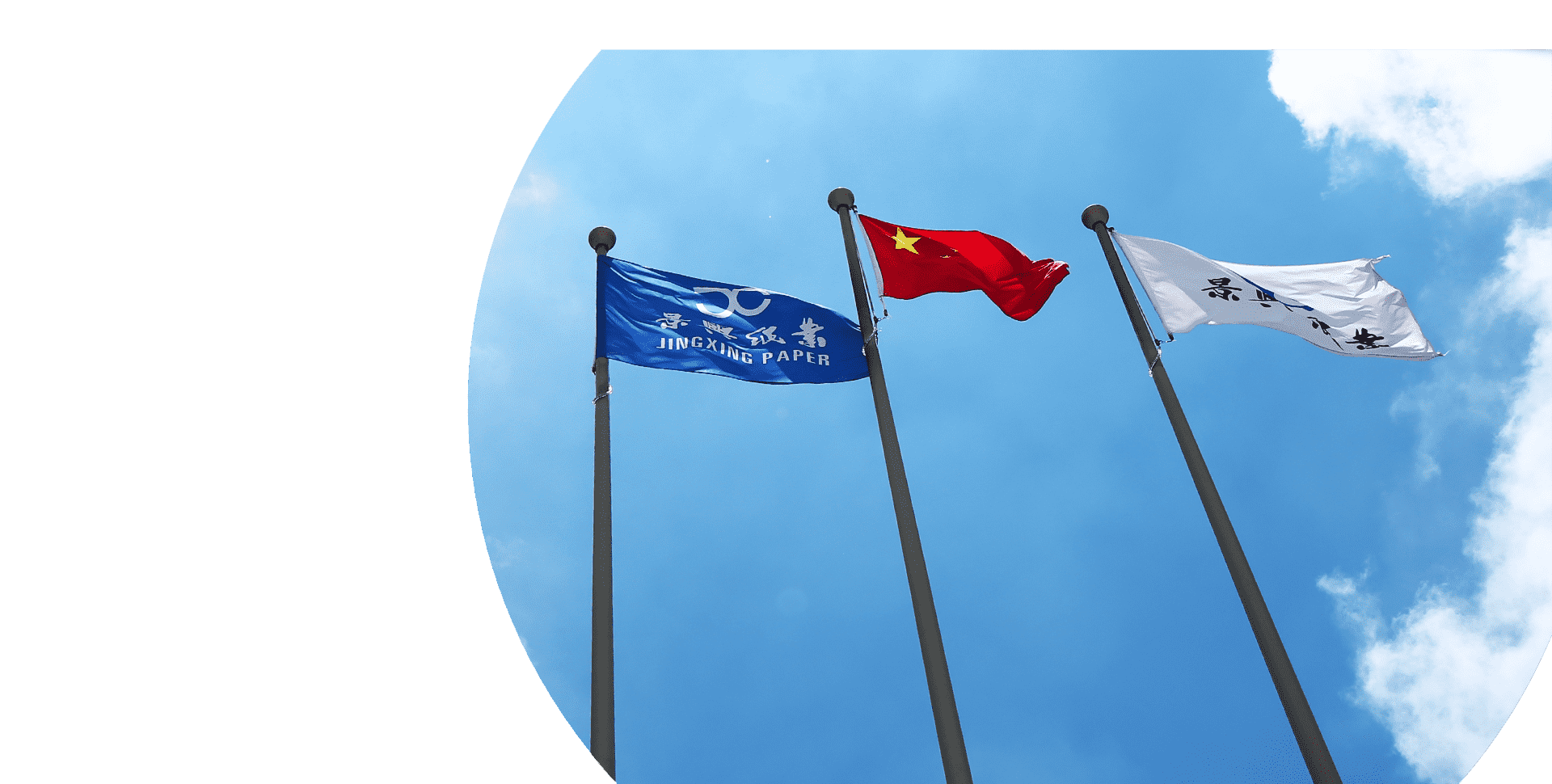 佰利乐·(中国区)有限公司官网