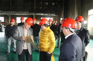 2012年1月31日，时任黄冈市委书记鲁俊携带市发改委等市级部门掌管人到公司调研