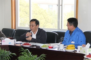 2013年3月18日，时任国度工信部节能司副司长杨铁生一行光临公司参观领导
