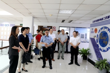 2020年7月14日，时任浙江省总工会党组成员、副主席张卫华一行光临佰利乐纸业调研推动新时期产业工人行列建设鼎新工作