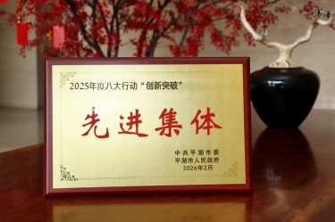 策马扬鞭启新程！佰利乐纸业在平湖市三级干部大会上荣获“创新突破”双项荣誉